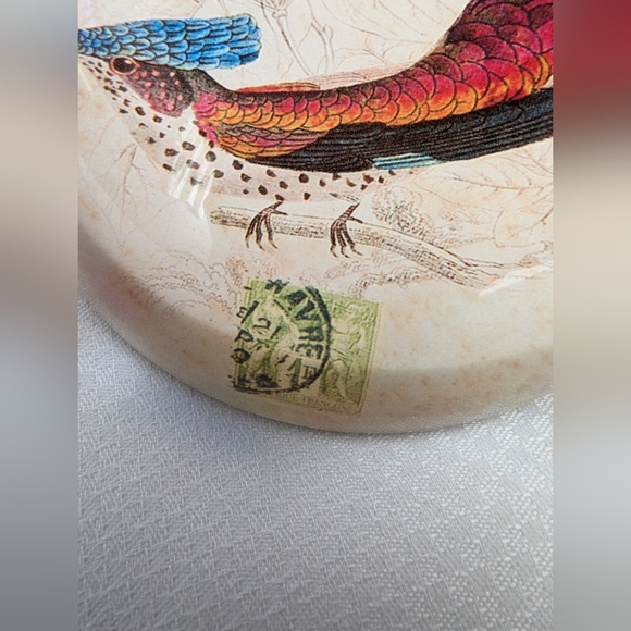 Pair of glass dome shaped paper weights. Pheasant like Bird graphics. - Picture 4 of 8